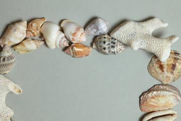 frame made ​​of shells