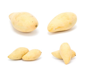 Golden ripe mango is a product of good quality