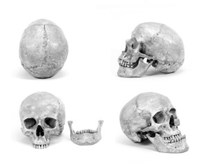 picture set of single human skull isolated on white background