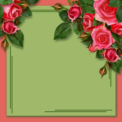 Rose flowers on holiday background
