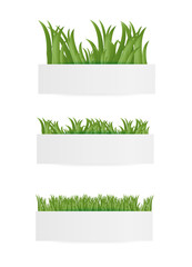 Banners with green grass, vector illustration