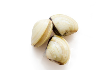 fresh clams