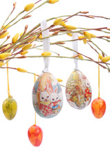 Colored easter eggs hanging from willow branches - obrazy, fototapety, plakaty