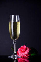 Champagne