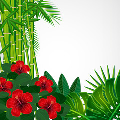 Fototapeta na wymiar Tropical floral design background.