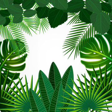 Tropical design background.