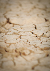 Dry cracked mud in dried up waterhole, selective depth of field