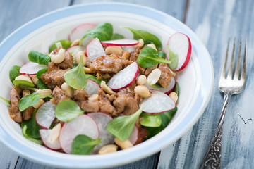Indonesian salad with vegs, roasted meat and peanuts, close-up