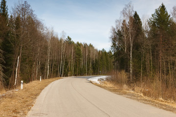 Obraz premium road in woodland