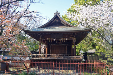 Japanese Temple