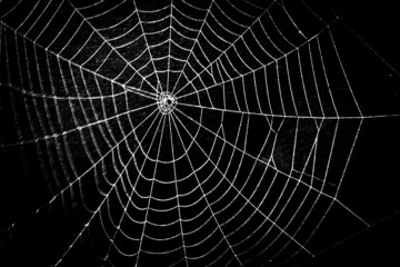 pretty scary frightening spider web for halloween - 63575993
