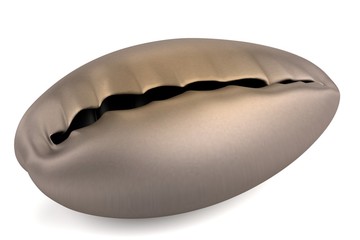 realistic 3d render of shell