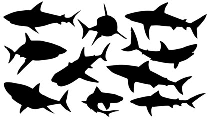 Fototapeta premium sylwetki rekinów