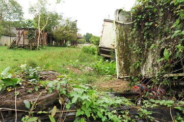 Abandoned truck wreck and train wagon at Quirigua