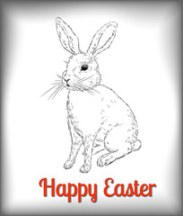 Fototapeta premium Easter Rabbit