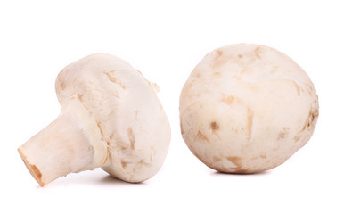 White mushrooms.