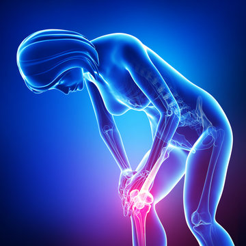Female knee pain anatomy on blue