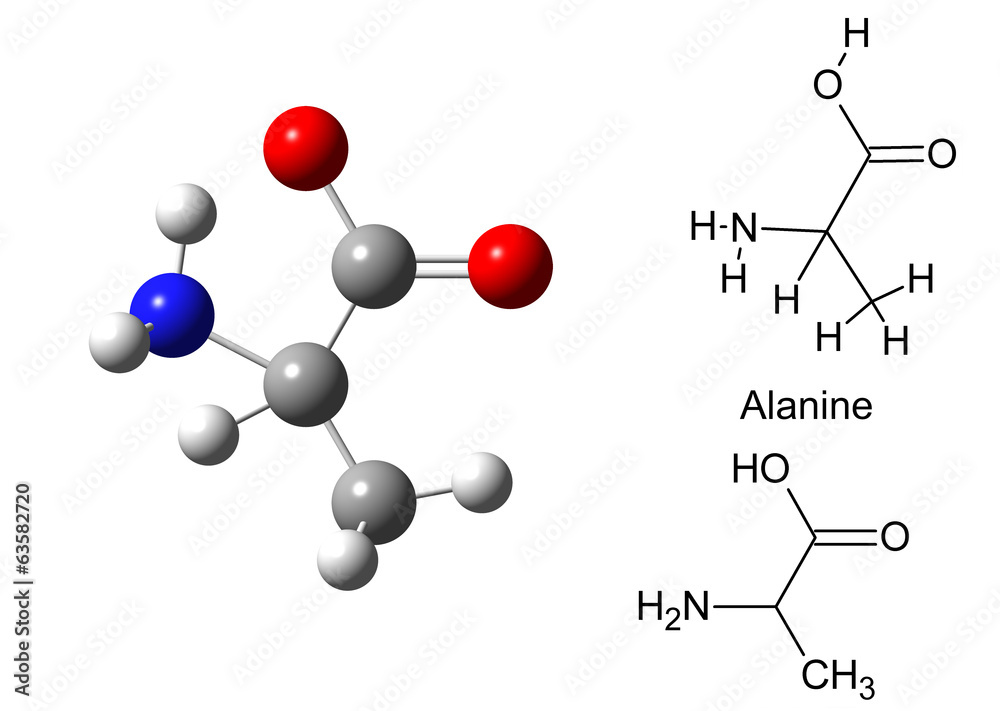 Poster structural model of alanine molecule