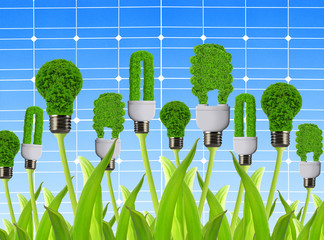 eco energy bulbs on the background solar panel