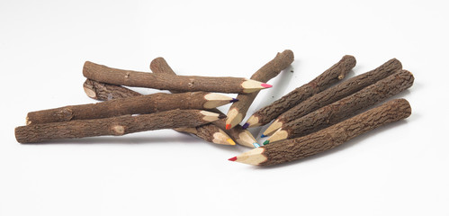 set of pencils stylized tree branch on white