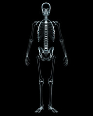 X-ray of human body on black background