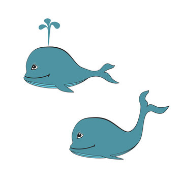 Blue whales vector illustration
