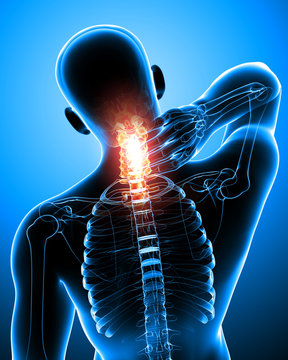 male neck pain anatomy in blue
