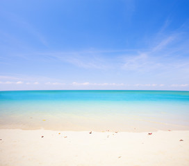 Fototapeta premium beach and tropical sea