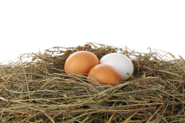 Eggs on hay, isolated on white
