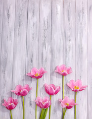 Beautiful flowers on color wooden background