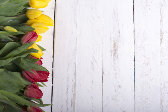 Tulips on white wooden planks eves