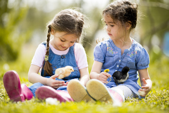 Two little girls with chickens