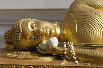 Buddha with Lotus