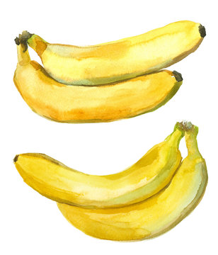 pair of bananas, watercolor set