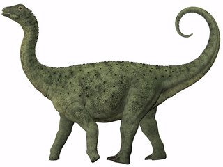 Saltasaurus Juvenile