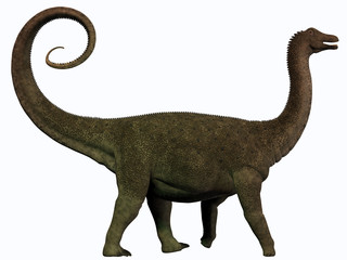 Saltasaurus Profile © Catmando