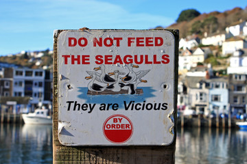 Seagull Sign
