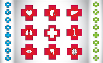 colorful medical plus icon symbols different human body parts