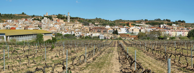Obraz premium Vila-rodona village