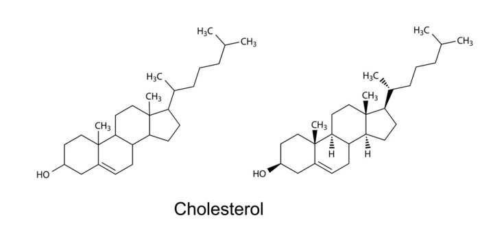 Structural formulas of cholesterol molecule