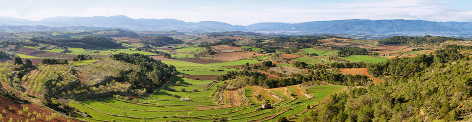 Fototapeta na wymiar Plantation fields near Vallbona de les Monges