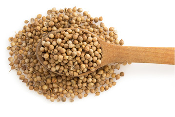 coriander spices in spoon