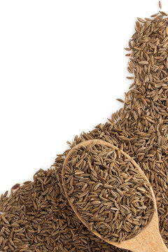 cumin seeds in spoon on white