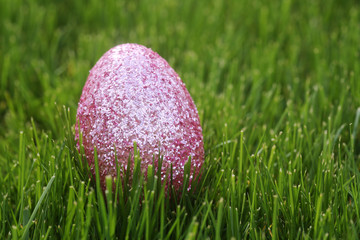 Colorful Easter Eggs Still Life With Natural Light