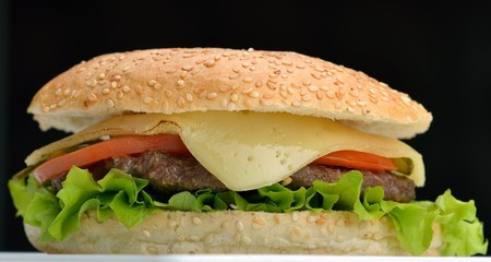 hamburger