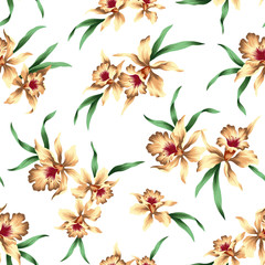 カトレアのパターン