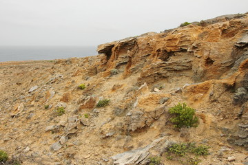 Cape Bridgewater
