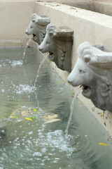 Fototapeta na wymiar lion statue spitting water - vintage style