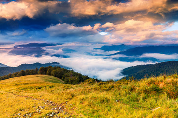 Beautiful summer landscape in the mountains.