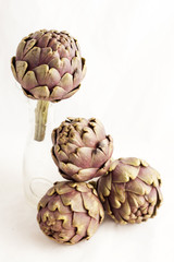 Fototapeta premium Artichokes